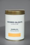 Kamilica