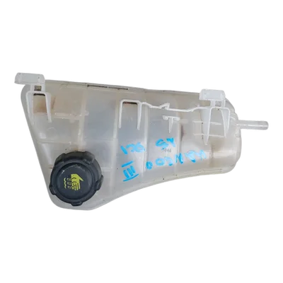 Renault Kangoo III  07-21  posuda za antifriz  8200455786