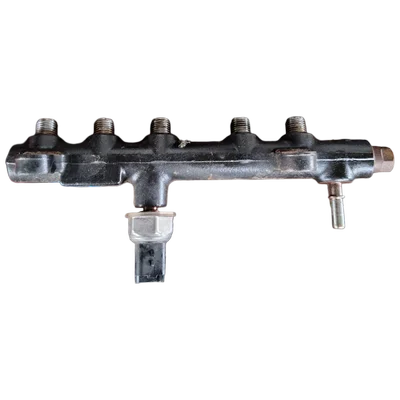 Citroen C5 Aircross  2.0 HDI  17-    rampa goriva    9674300080