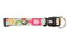 M&M COLLAR DUCKLINGS