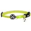M&M COLLAR KIWI