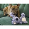 KONG Scrumplez Koala Md EU