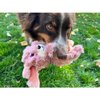 KONG Scrumplez Bunny Md EU