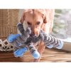 KONG Shakers Crumples Elephant XL EU