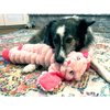 KONG Shakers Crumples Bunny XL EU