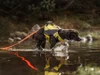 Action Leash