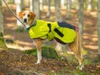 Dog Coat Ice-Olation