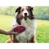 KONG ZoomGroom Raspberry L