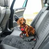 Kong travel seat belt teather