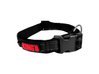 KONG COLLAR