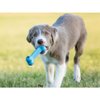 KONG Puppy Goodie Bone S