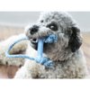 KONG Puppy Goodie Bone w/Rope XS