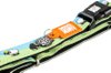 M&M COLLAR BLACK SHEEP