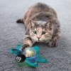 KONG CAT BAT A BOAT