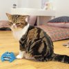KONG CAT REFILLABLES PURR MOODY