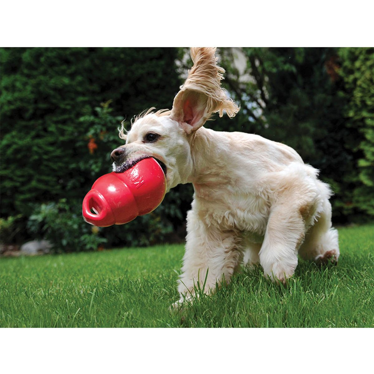 KONG igračka za pse Bounzer Lg EU