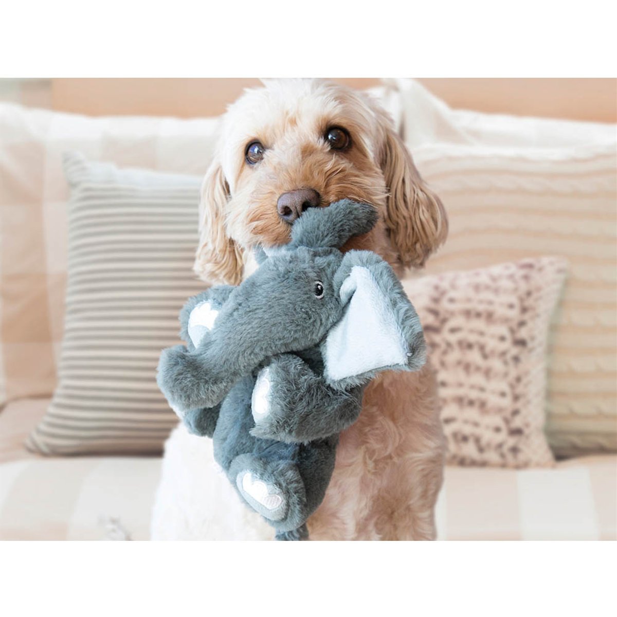 KONG Comfort Kiddos Elephant Sm EU