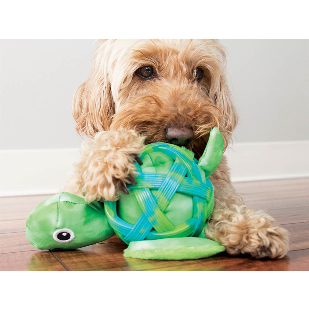 KONG Sea Shells Seahorse Sm/Md EU