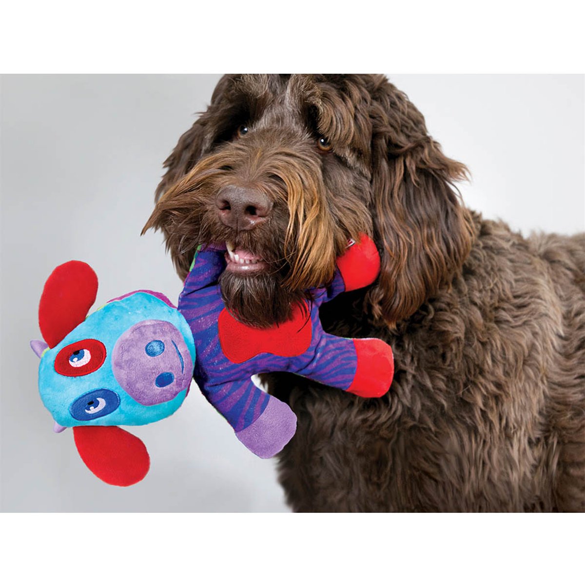 KONG Switcheroos Assorted Lg EU