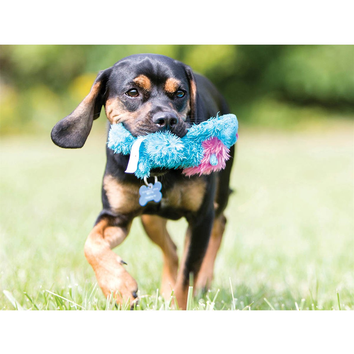 KONG igračka za pse Cozie Assorted Pastels Md EU