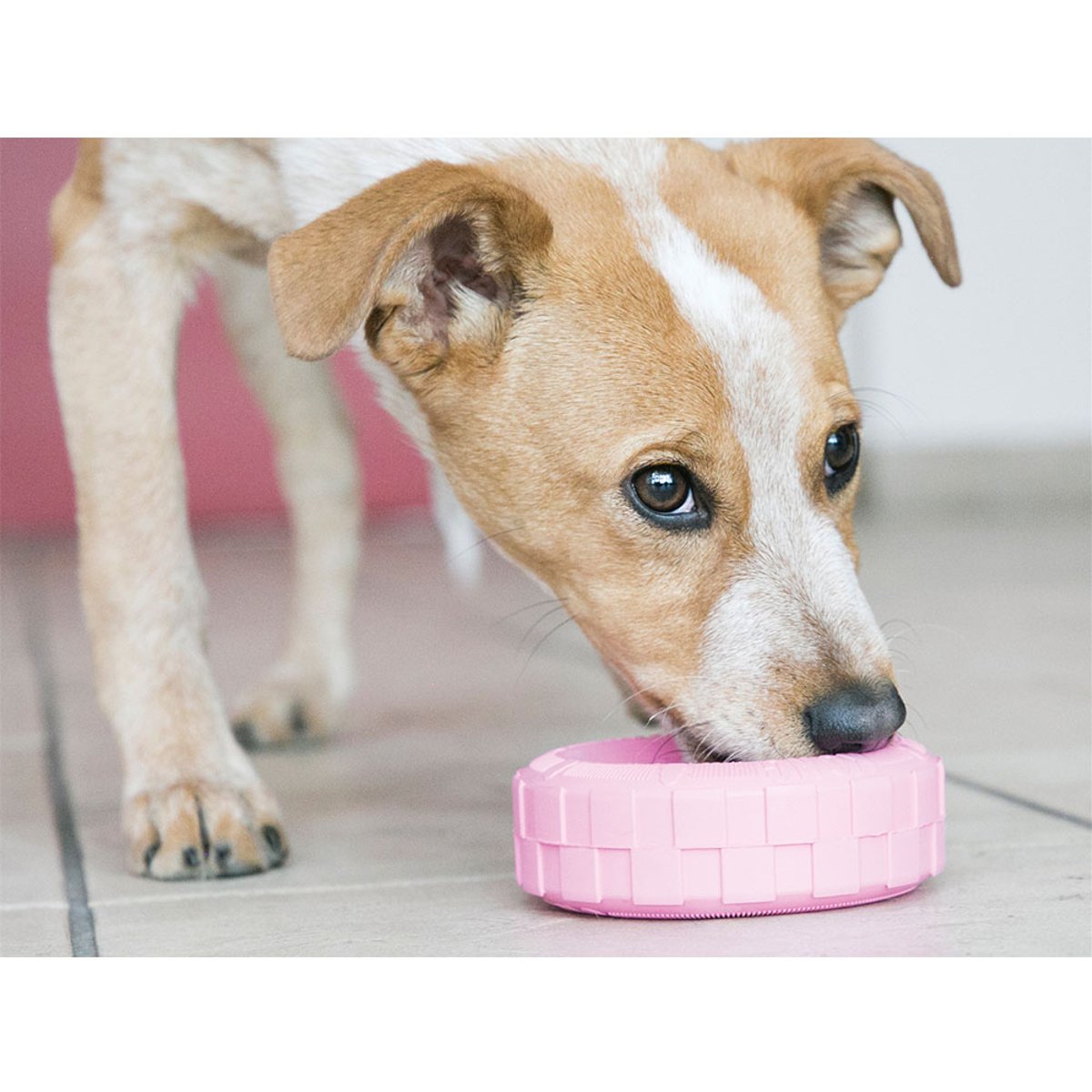 KONG Puppy Tyres M/L