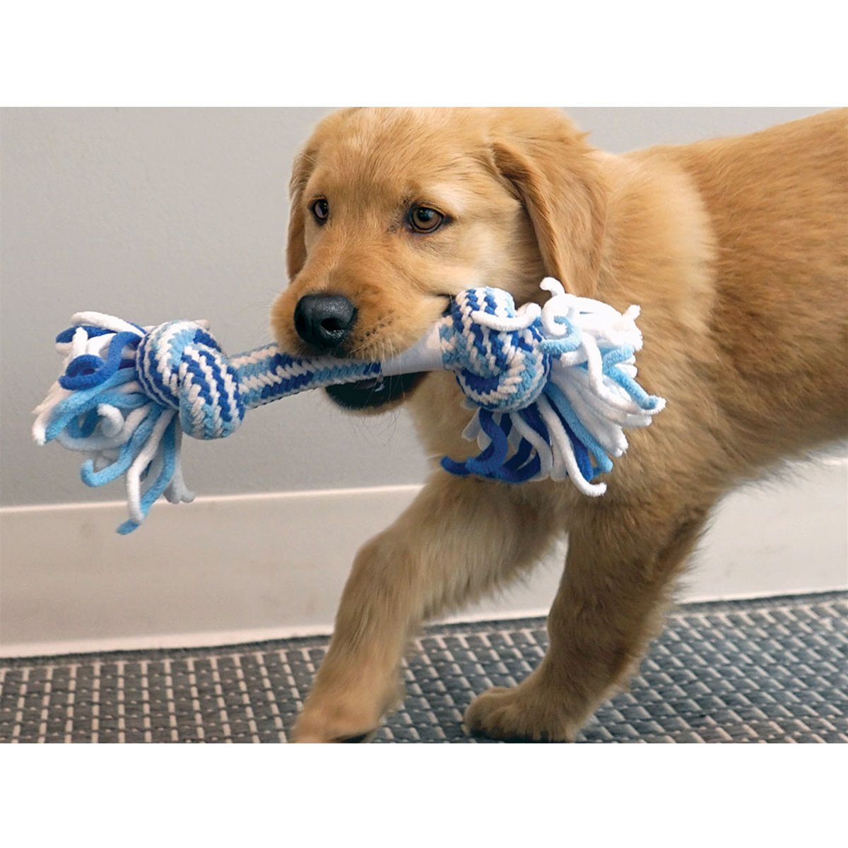 KONG PUPPY ROPE TUG M