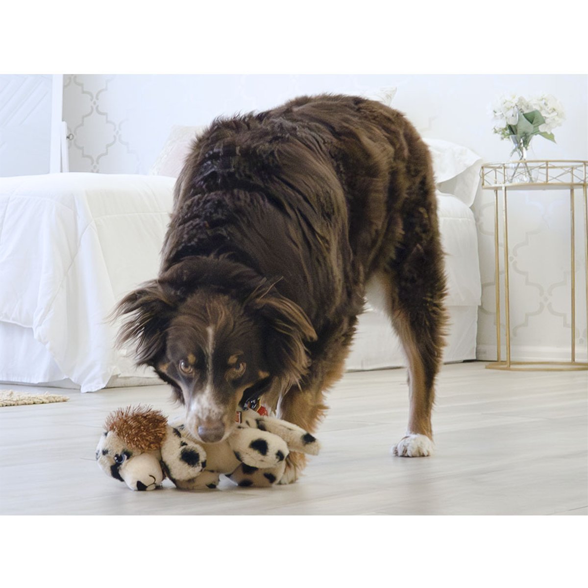 KONG igračka za pse Comfort Pups Spot Medium