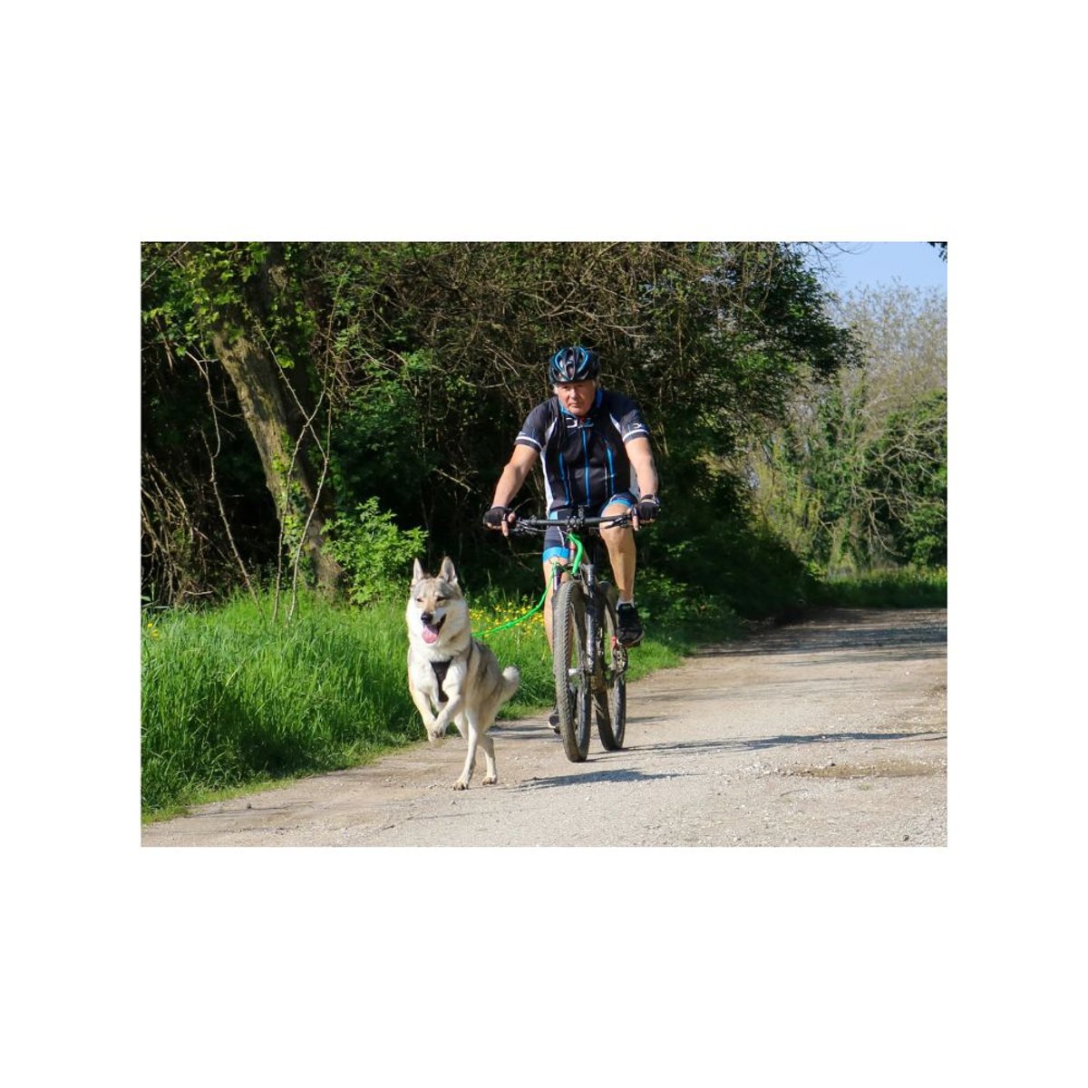 BIKE-JORING LINE ( 1 dog ) -250 cm