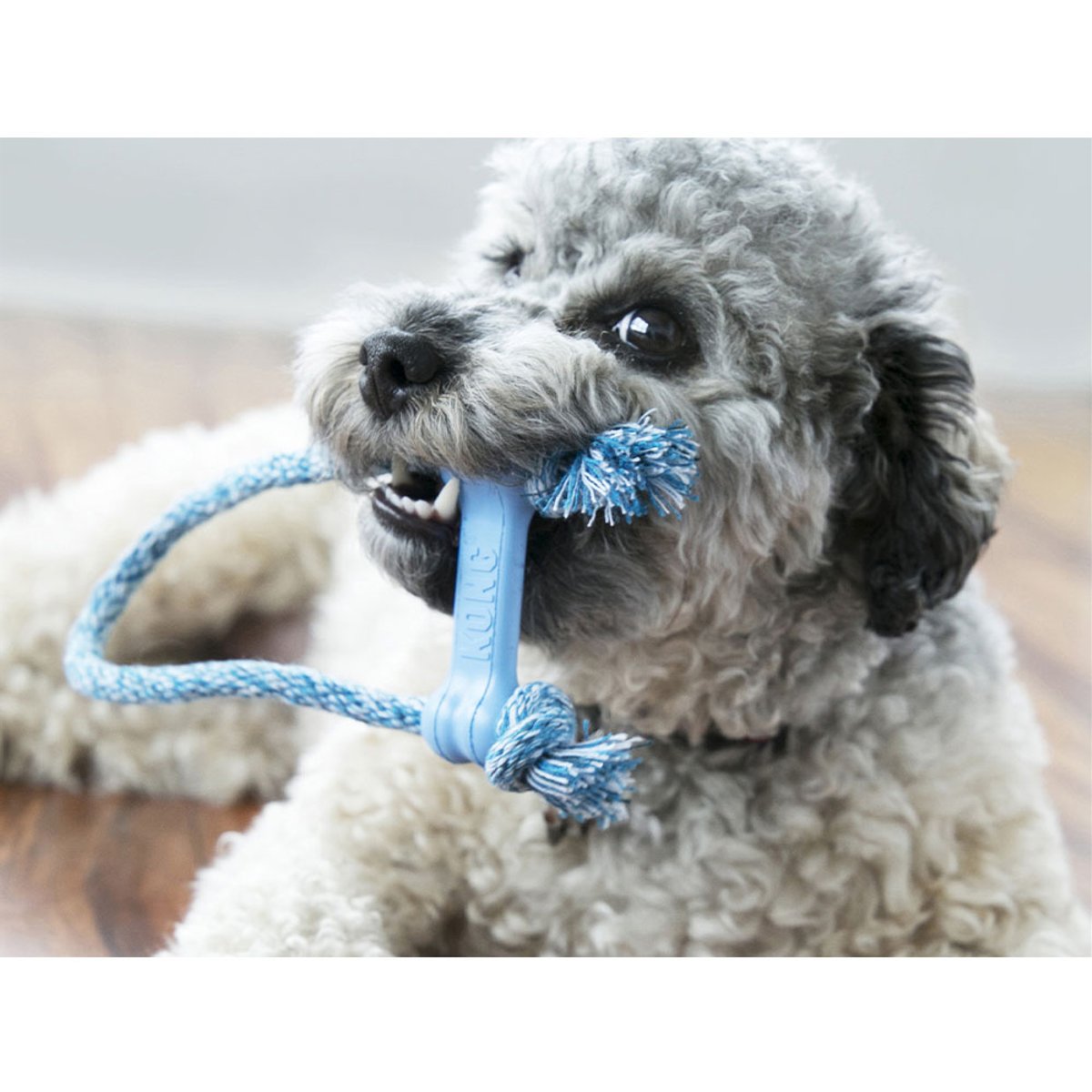 KONG Puppy Goodie Bone w/Rope XS