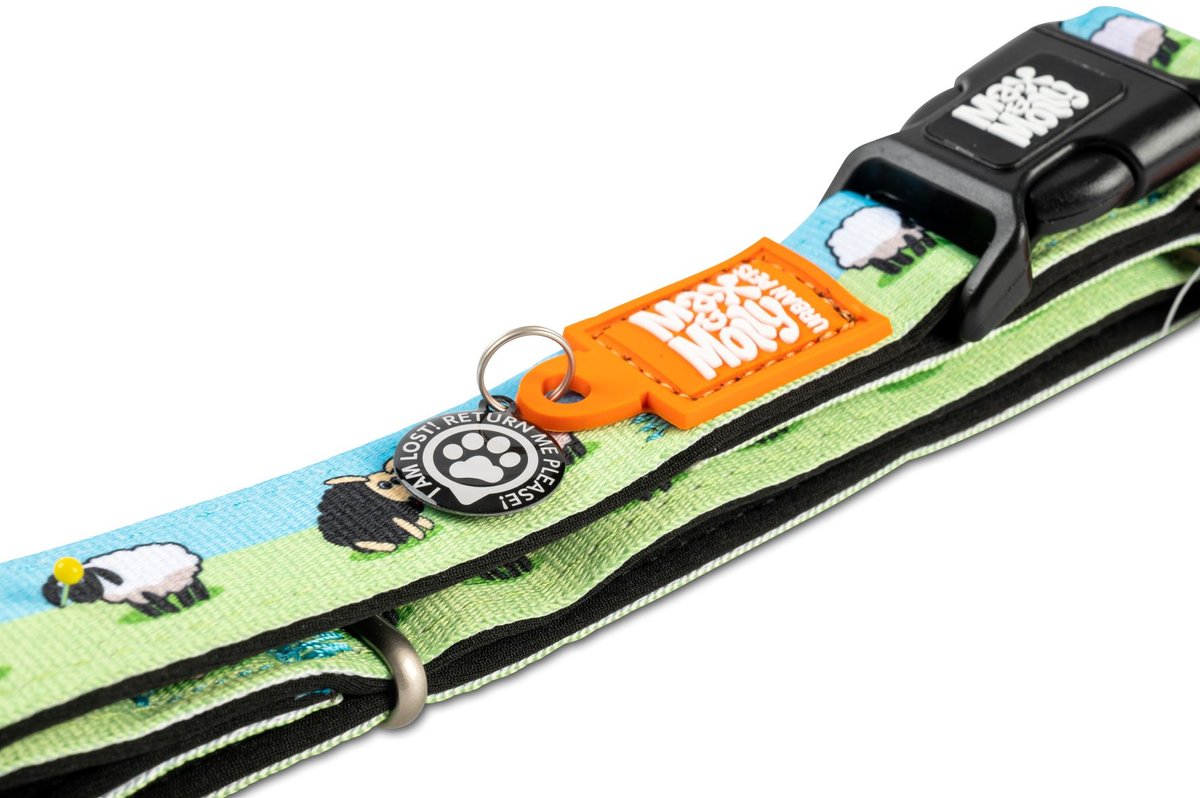 M&M COLLAR BLACK SHEEP