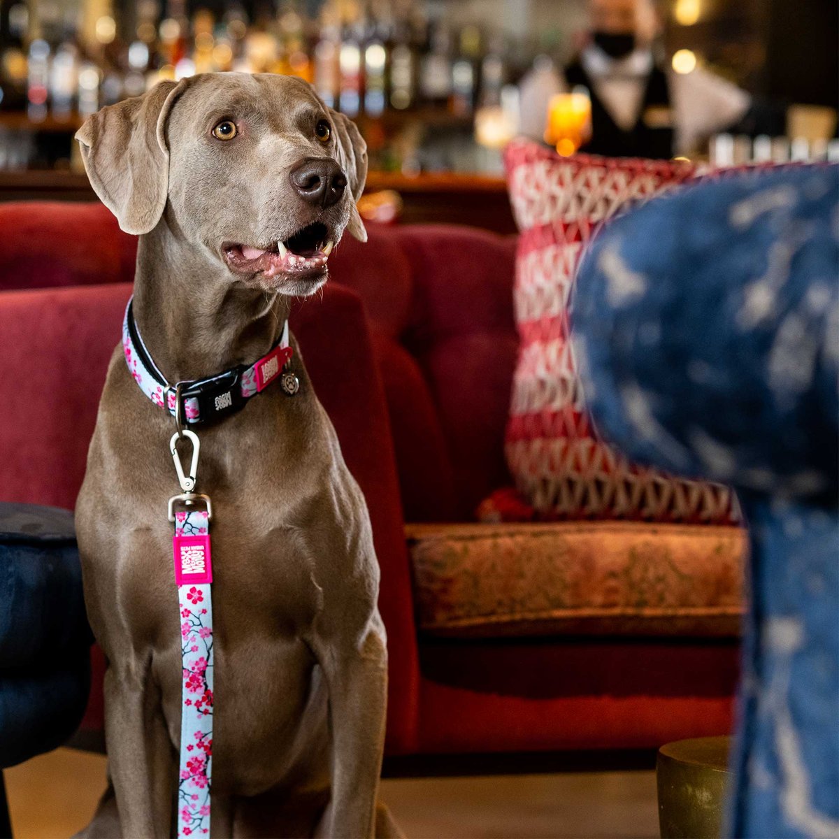 M&M COLLAR CHERRY BLOOM