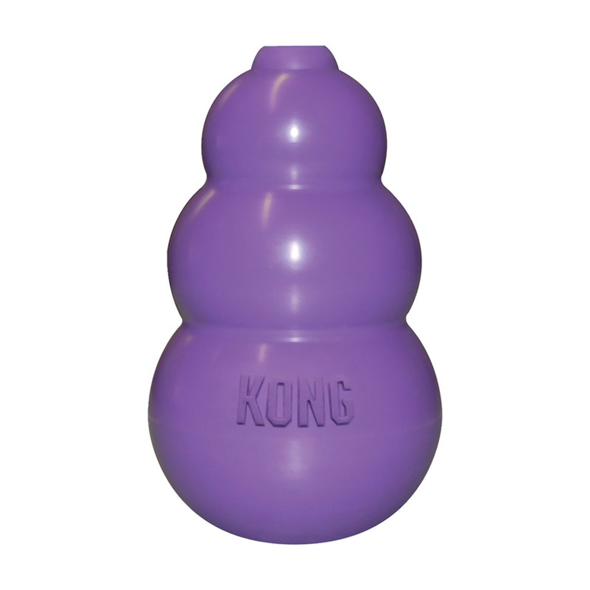 KONG Kitty