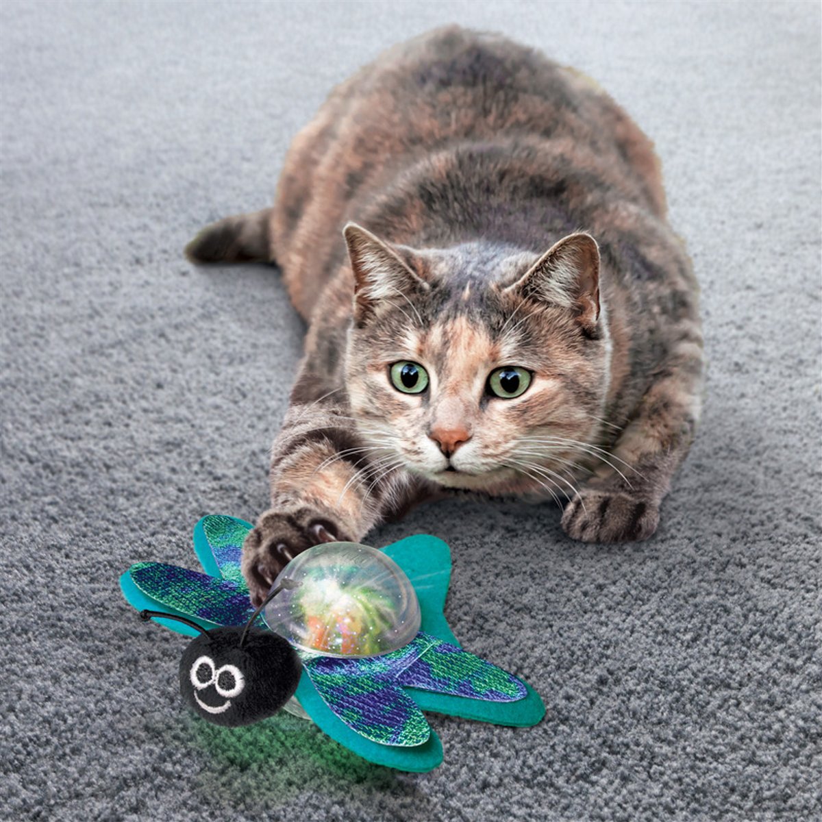 KONG CAT BAT A BOAT