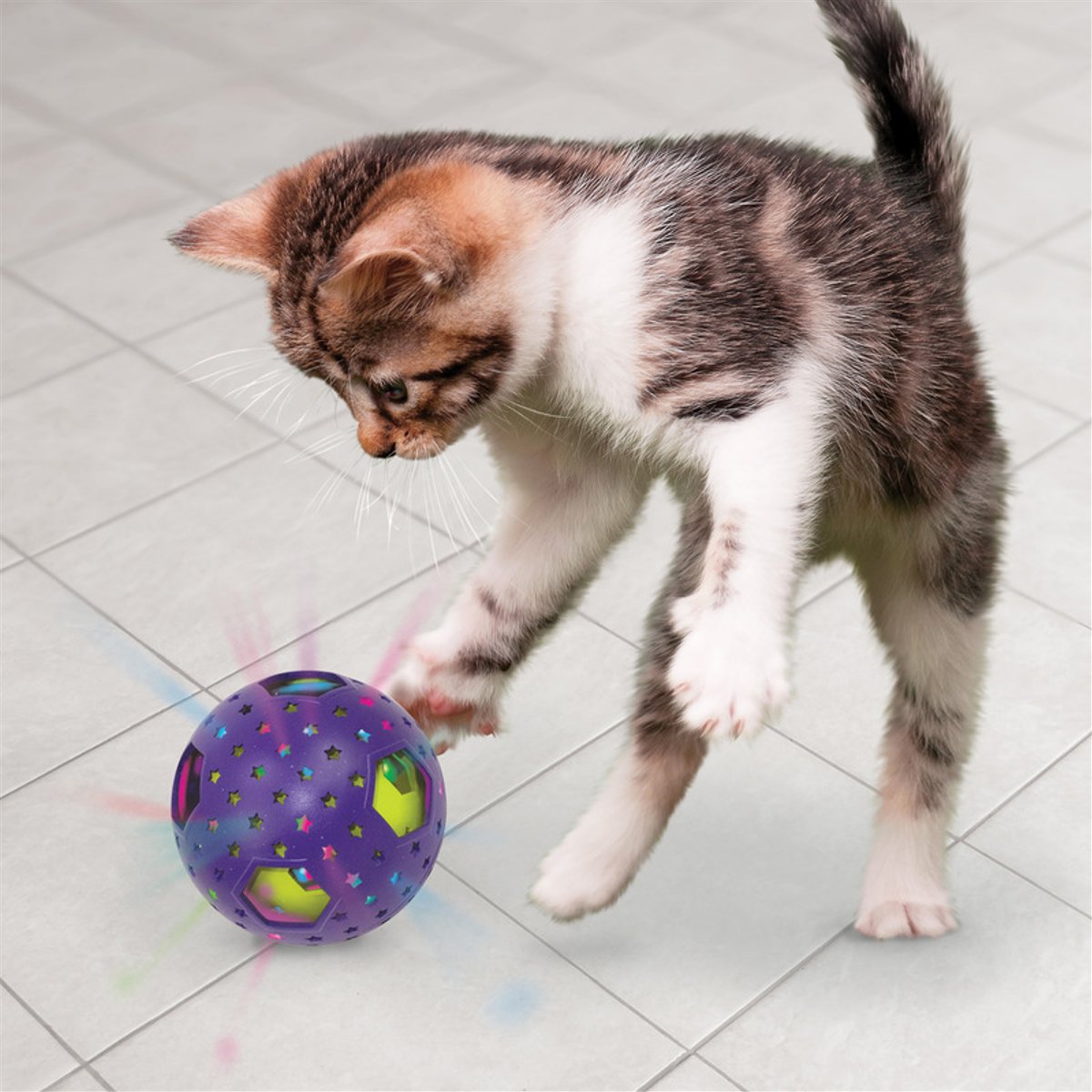 KONG CAT BAT A BOUT FLICKER DISCO