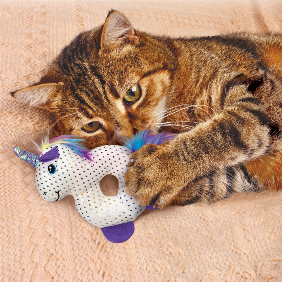 KONG CAT ENCHANTED CARACTERS