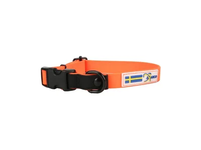 Action Collar