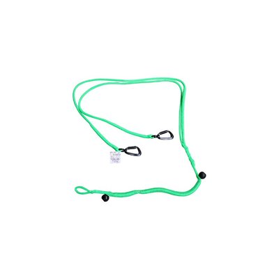STANDARD LINE ( 2 dogs  ) green - 200 cm