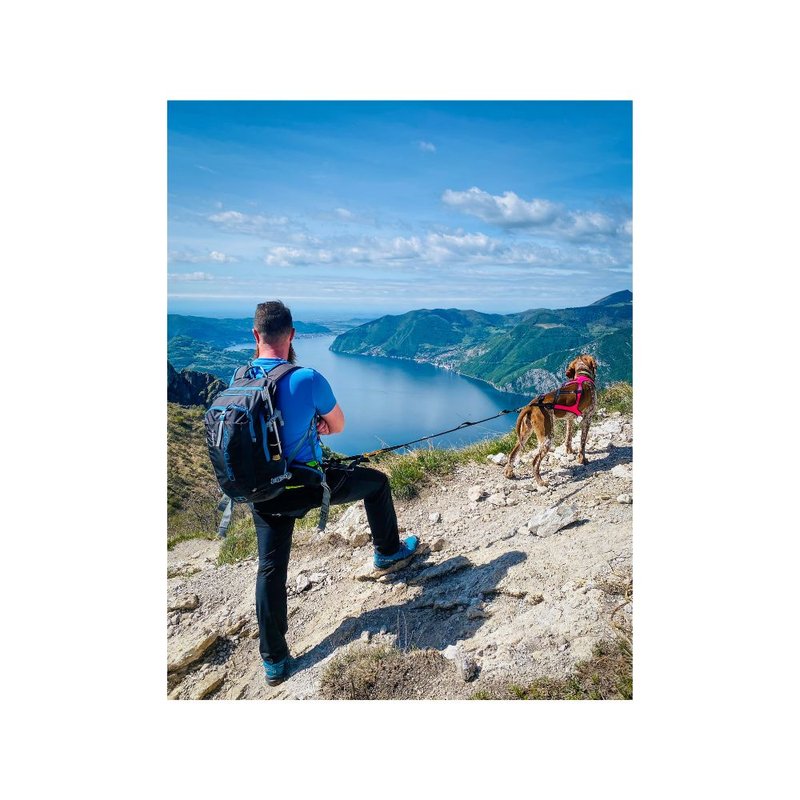CANIS REVOLUTION and AXAECO present: ZAGREB Canisport Experience 2025 – a new format of active living with dogs