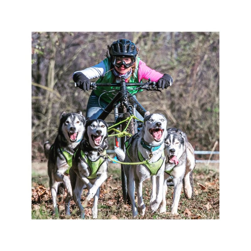 CANIS REVOLUTION and AXAECO present: ZAGREB Canisport Experience 2025 – a new format of active living with dogs