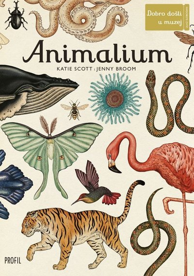 Animalium